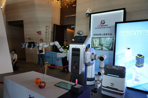 成都發布三年行動計劃 打造全國人形機器人研發制造增長極與示范應用新高地